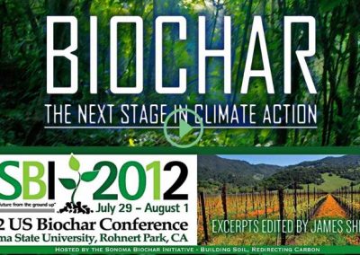 Biochar – The Next Stage In Climate Action