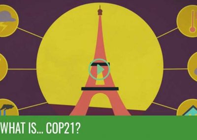 What Is COP21? The 2 Minute Guide