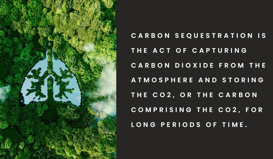 The Act of Carbon Sequestration