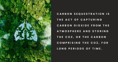 The Act of Carbon Sequestration - V-Grid Energy Systems