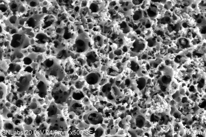 BiocharSEM_800x533 Bioserver
